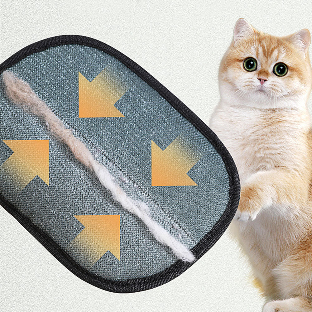 Close-up of reusable pet hair removal mitt collecting loose cat fur